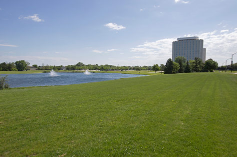 Larusso Lagoon